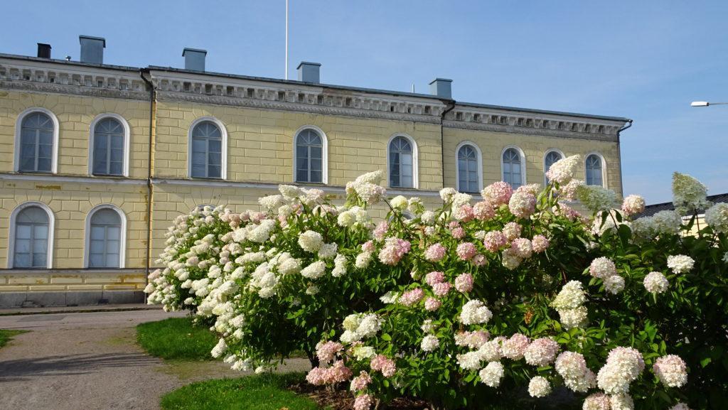 Borgå Gymnasium ja kukkivat pensaat.