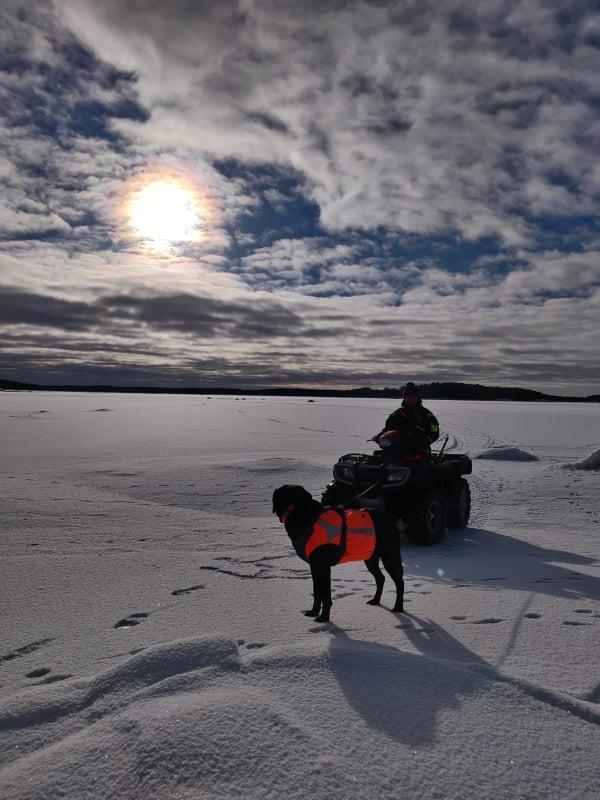 En hund och terränghjuling