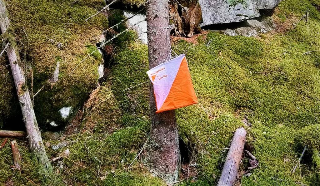 orange-vitt orienteringsmärke i skogen
