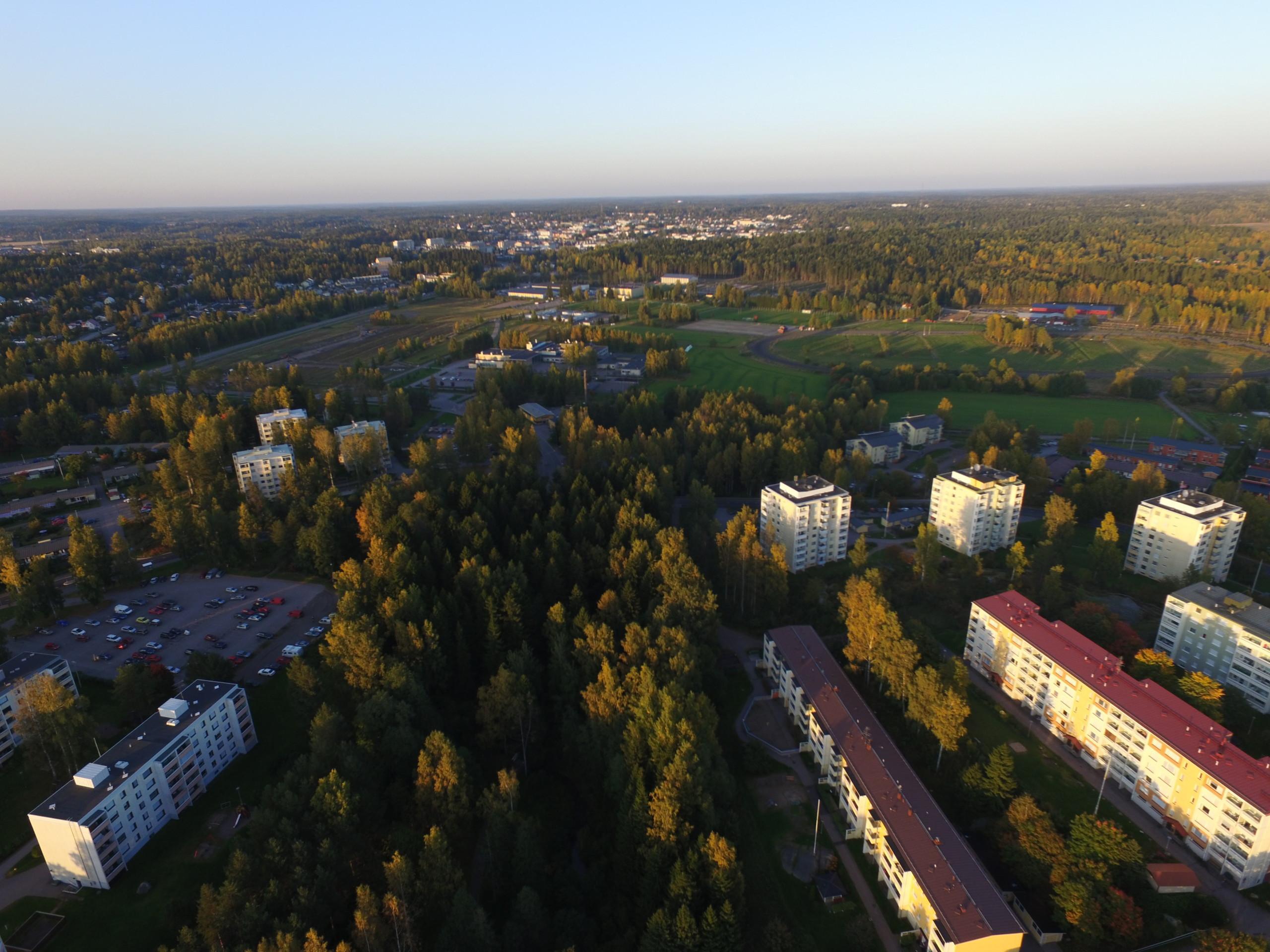 Ilmakuva Gammelbackan kerrostaloista, joita ympäröi runsas puusto.