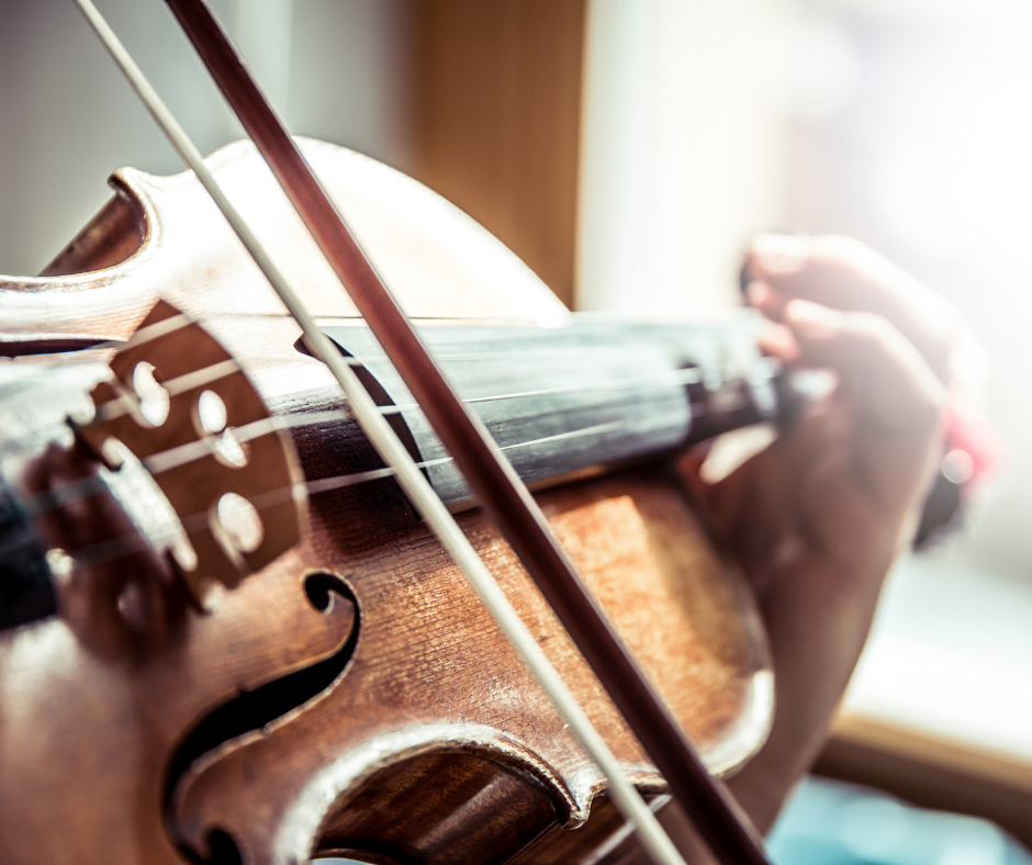 viulu.violin.