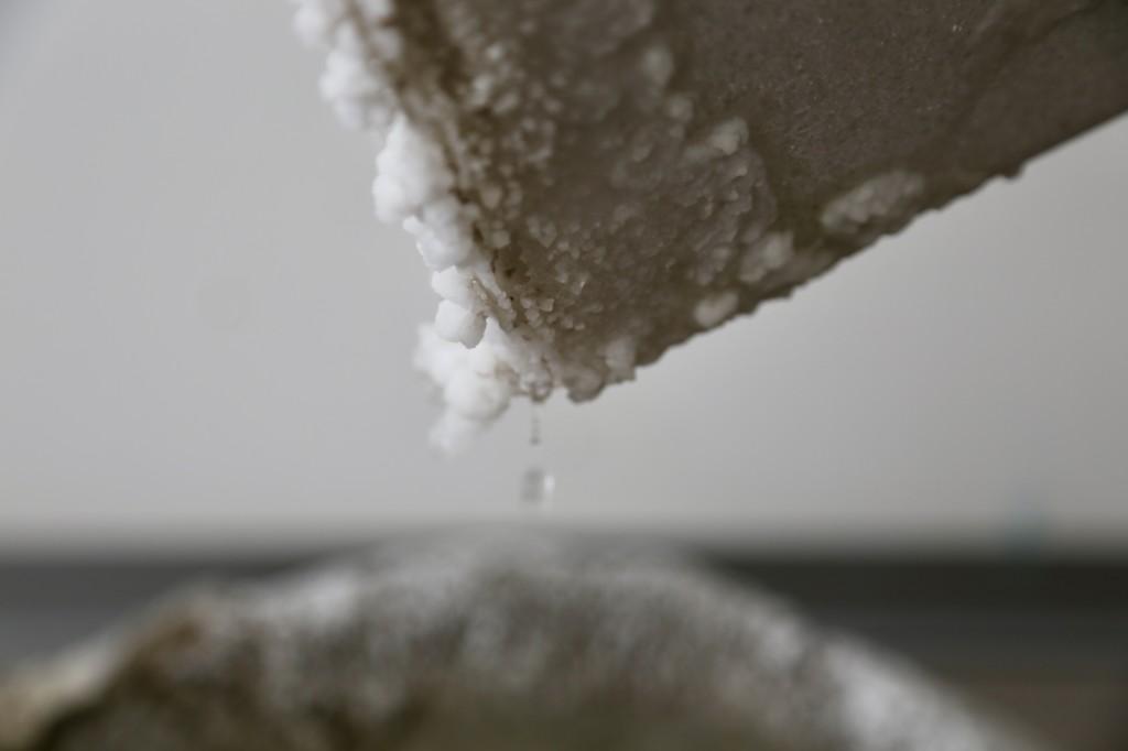 Olga Benedicte: Tears Of Salt
