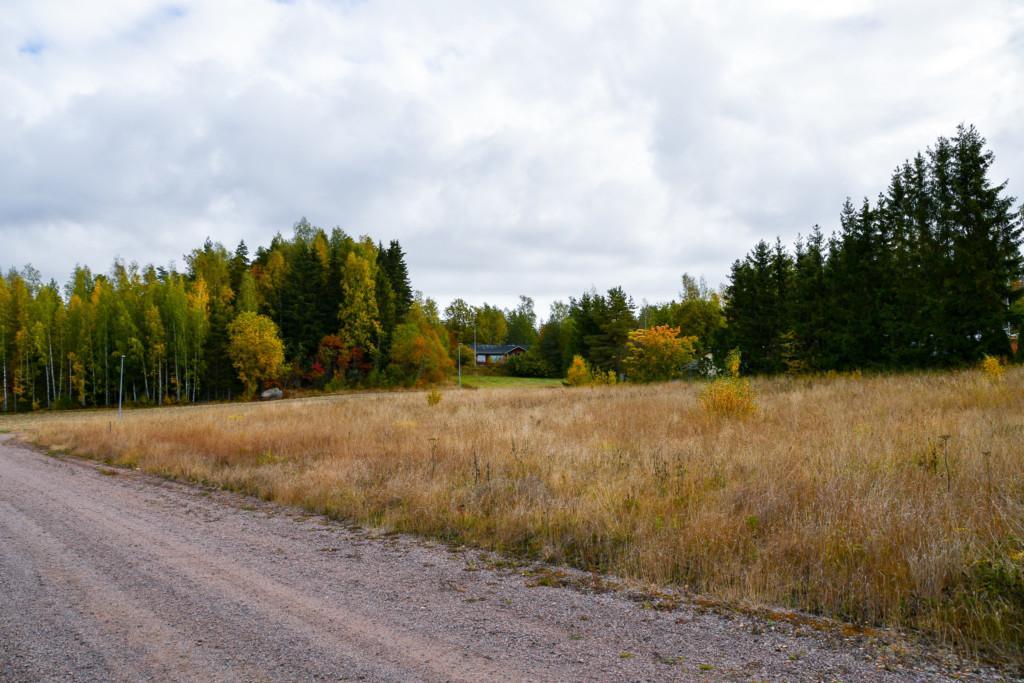 Höstlandskap från Carlandervägen.