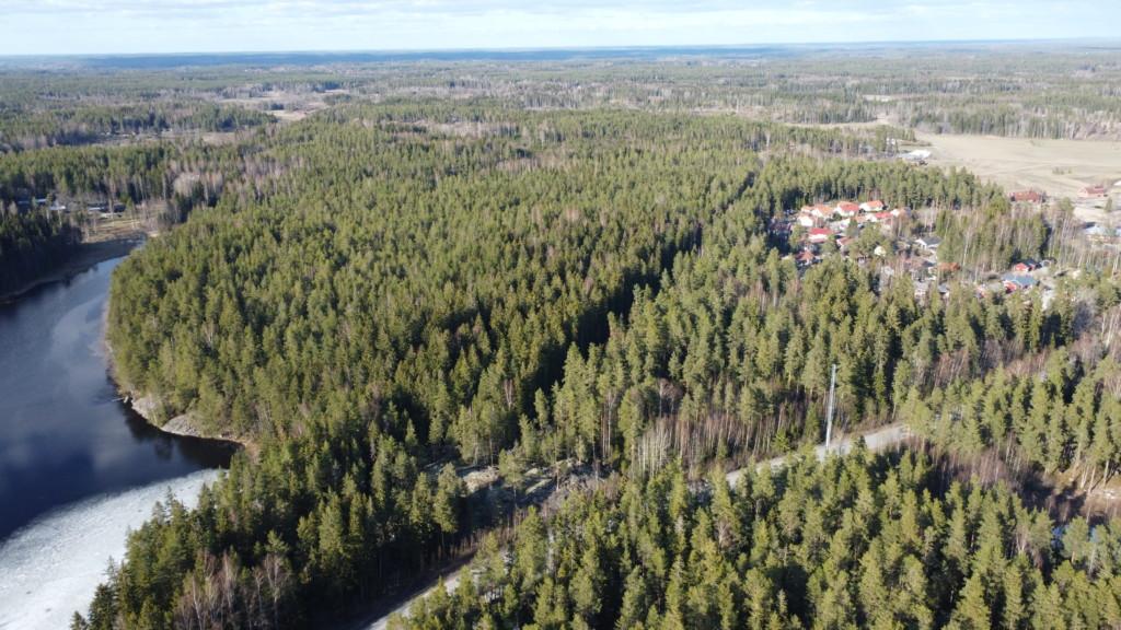 1990-2000 -luvuilla rakentunut pientaloalue ja ympäröivää metsää, mihin Epoon Kivitarha tullaan rakentamaan. Ilmakuva.