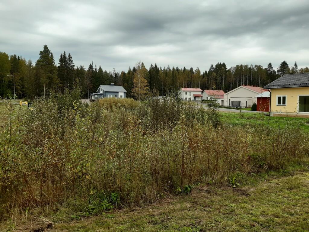 Syksyinen maisema tontilta Lilldungenkuja 2.