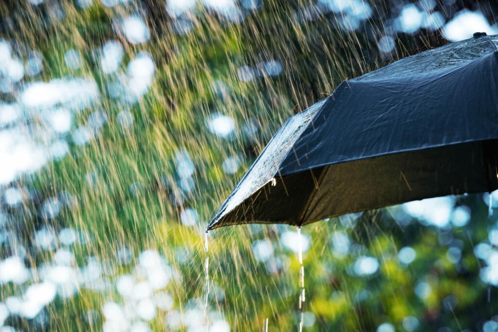 Kesäsade osuu sateenvarjoon.