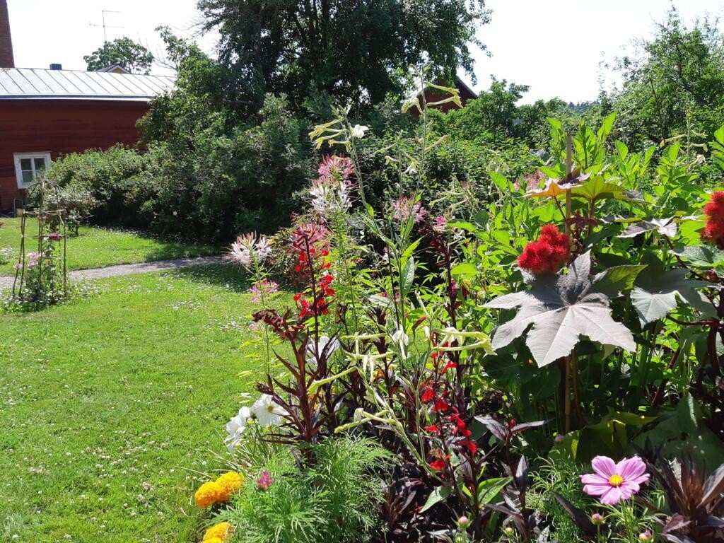Runebergin kodin puutarha.
