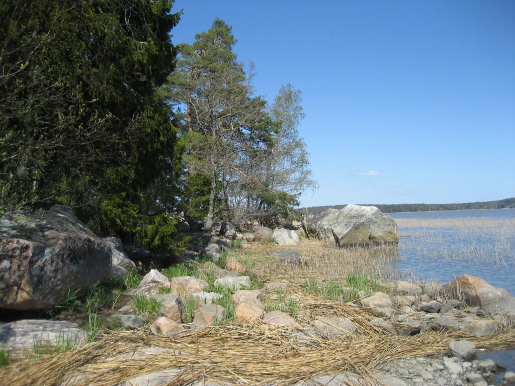 Virvikin merenranta-aluetta kesällä.