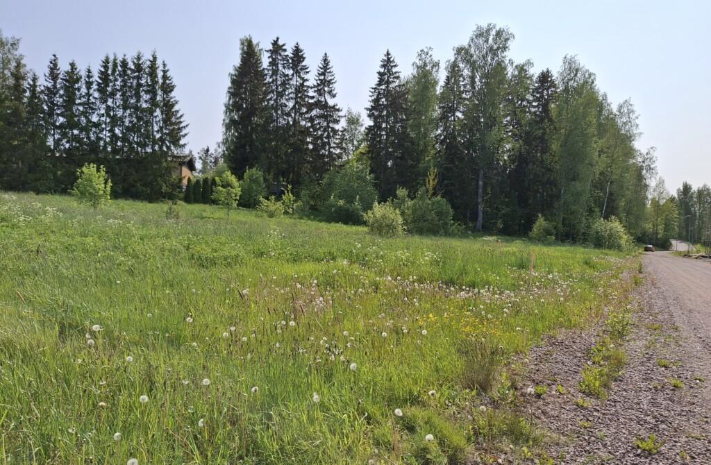 Maisema Carlanderintieltä: rakentamattomia tontteja rinteessä vanhalla peltoaukealla, taustalla metsää. Valokuva.