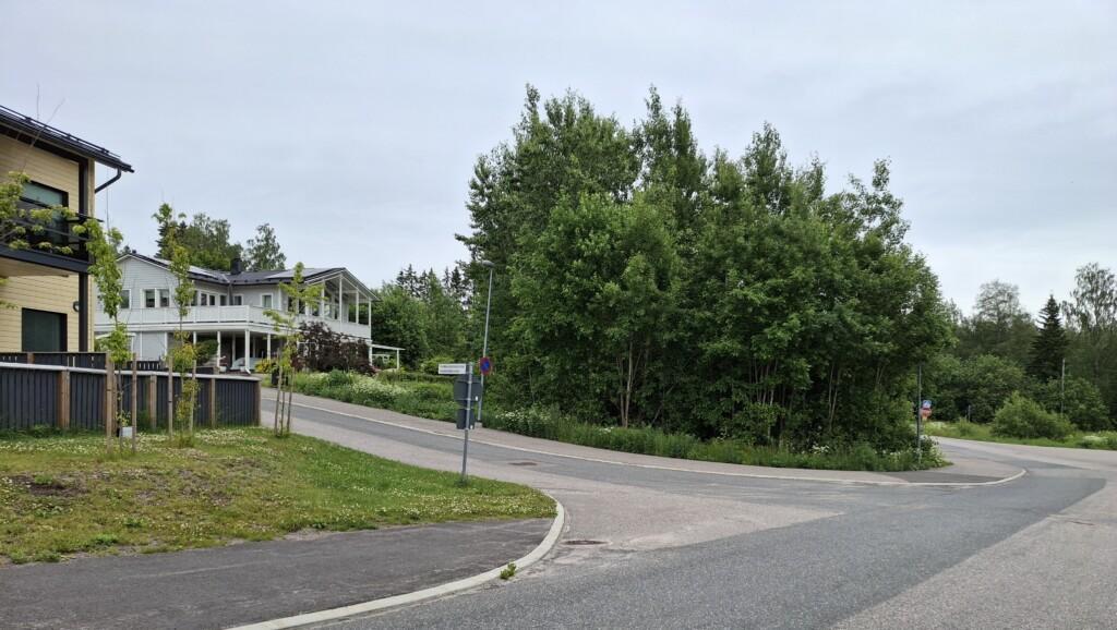 Valokuva rakentamattomasta tontista osoitteessa Haikkoonlammenrinne 1. Tontilla kasvaa puita. Kuvan vasemmassa reunassa näkyy naapuruston taloja.