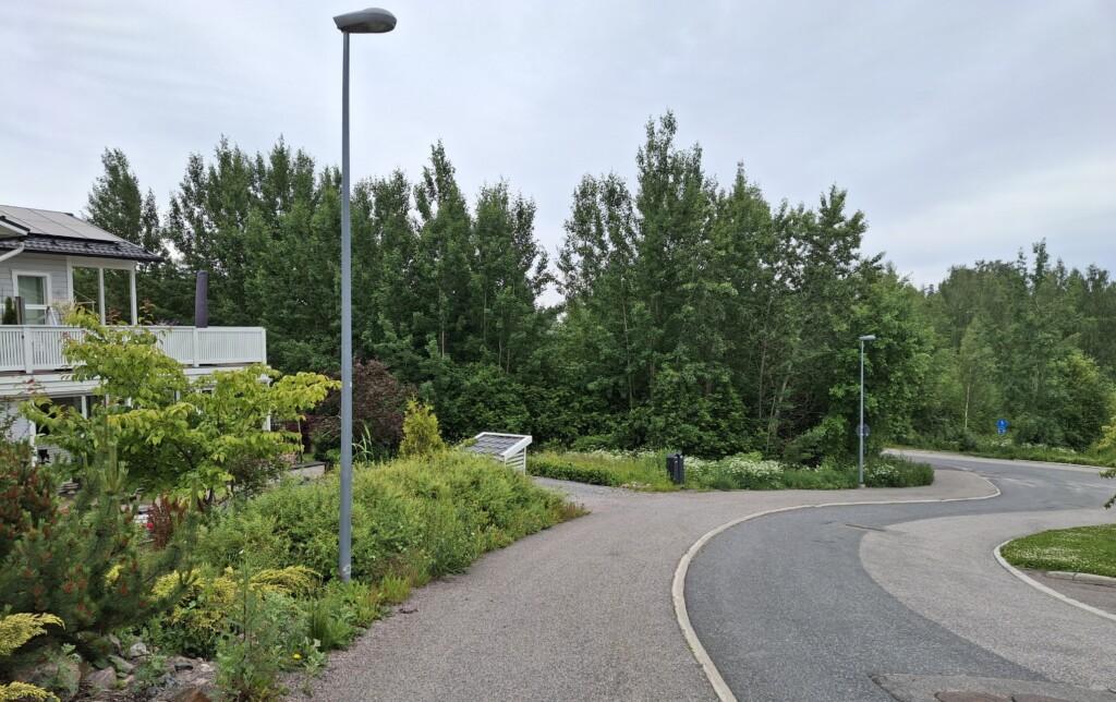 Valokuva rakentamattomasta tontista osoitteessa Haikkoonlammenrinne 1. Tontilla kasvaa puita. Kuvan vasemmassa reunassa näkyy naapurin omakotitalo ylärinteessä.