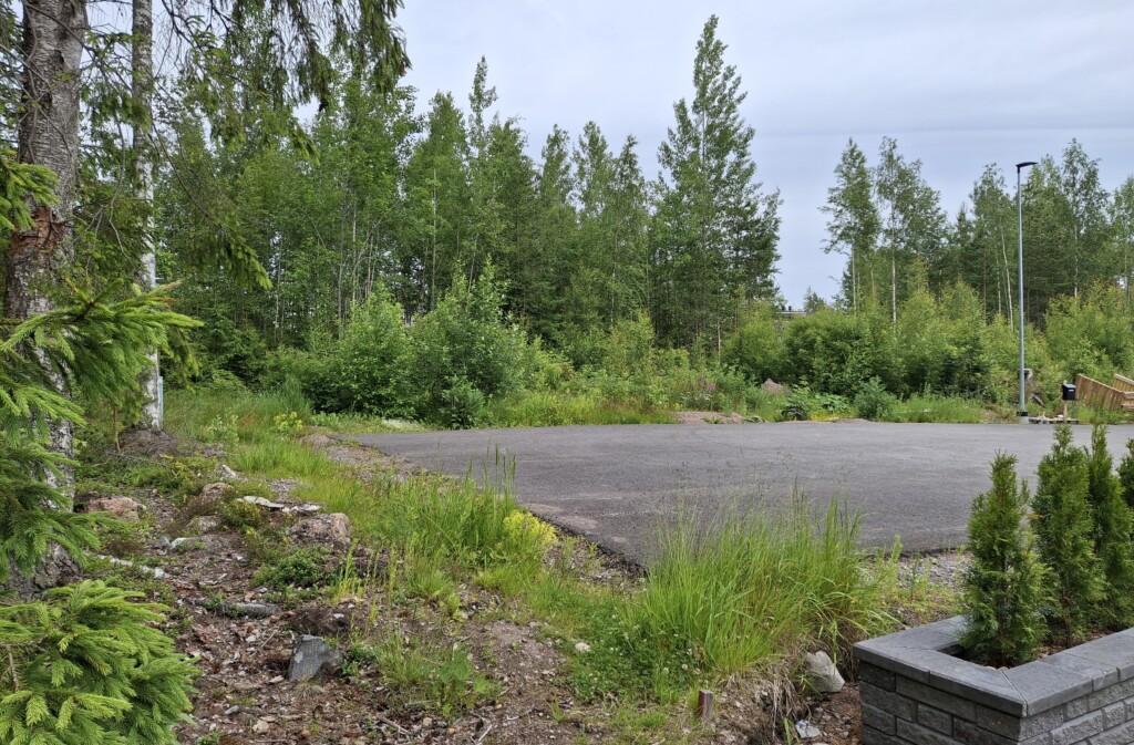 Valokuva rakentamattomasta tontista osoitteessa Johannantie 11. Tontilla kasvaa pensaikkoa ja nuoria puita.