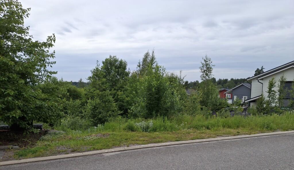 Valokuva rakentamattomasta tontista osoitteessa Koddervikinrinne 5. Tontilla kasvaa pensaita ja nuoria puita. Kuvan oikeassa reunassa näkyy omakotitaloja.