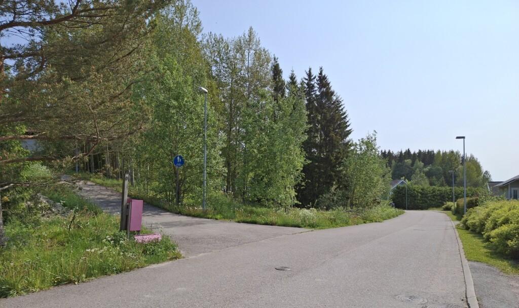 Valokuva rakentamattomasta tontista osoitteessa Hevosenkenkä 10. Tontilla on jonkin verran isoja puita. Kuvan reunoilla naapuritaloja osittain.