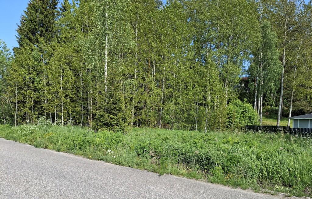 Valokuva rakentamattomasta tontista, osa tontista avointa vanhaa peltoa, vieressä isoja puita. Oikeassa reunassa naapurin ulkorakennus ja puiden takana rinteen yläpuolella pilkottaa toisen naapurin talo.