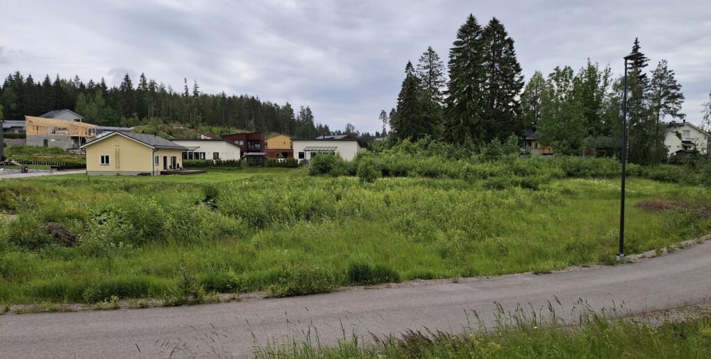 Valokuva rakentamattomasta tontista osoitteessa Lilldungenkuja 2 ja ympäröivää maisemaa. Tontilla kasvaa pensaikkoa. Taustalla naapureiden omakotitaloja ja edessä heinikkoa.