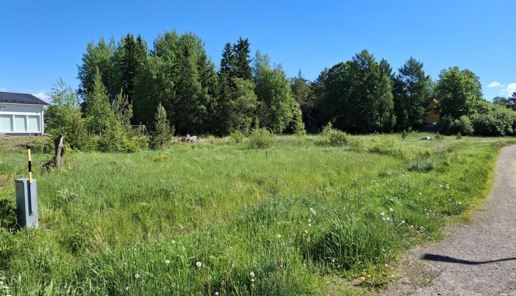 Ett foto av en äng där fyra tomma tomter ligger. Längre bak står fullvuxna träd, och mellan dem skymtar ett egnahemshus.