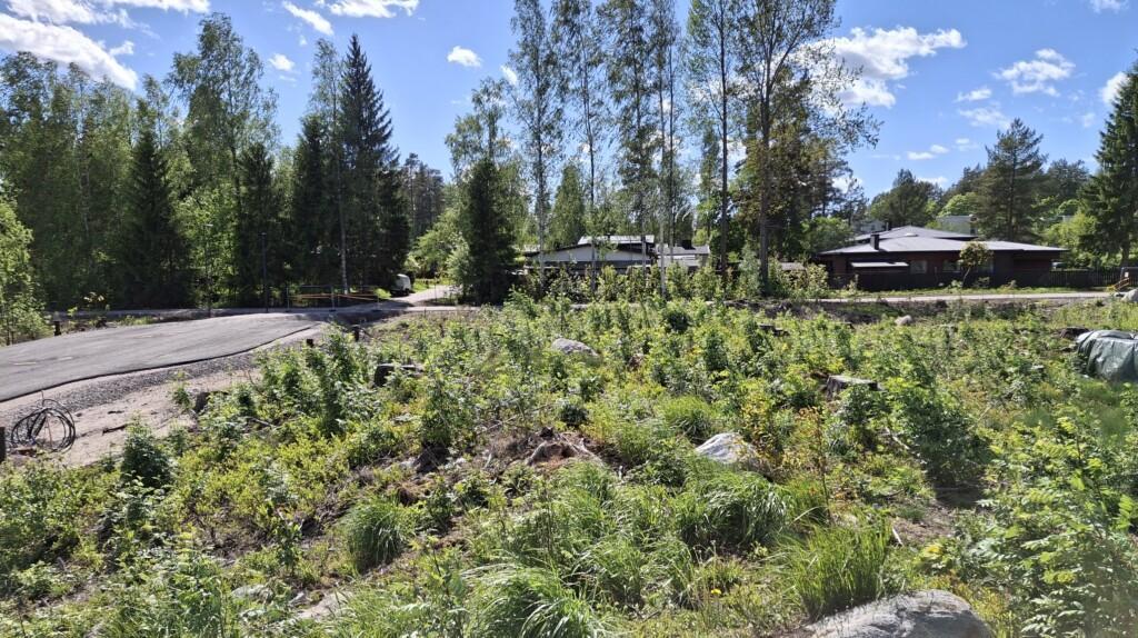 Valokuva. Heinäsenkujan rakentamattomia tontteja, joista puut kaadettu. Taaempana Kevätkummun omakotitaloja ja puustoa.
