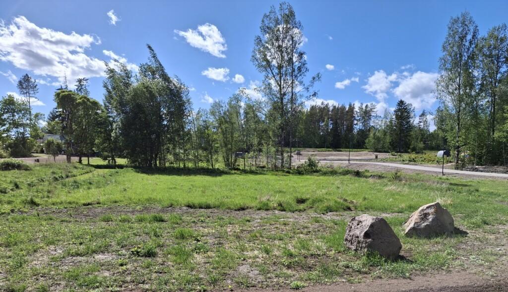 Valokuva. Alkukesän vihreä niitty tyhjällä rivitalotontilla puistokäytävän vieressä. Taaempana tyhjiä omakotitontteja ja puustoa.