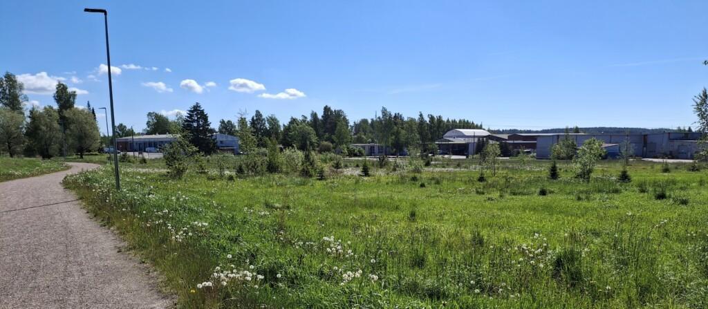 Valokuva niitystä, missä sijaitsee neljä tyhjää yritystonttia. Kuvassa niityn takana teollisuushalleja ja täysikasvuista puustoa, edessä vasemmalla kevyenliikenteen väylä.