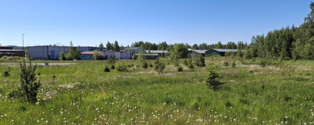 Valokuva niitystä, missä sijaitsee neljä tyhjää yritystonttia. Kuvassa niityn takana teollisuushalleja ja täysikasvuista puustoa.