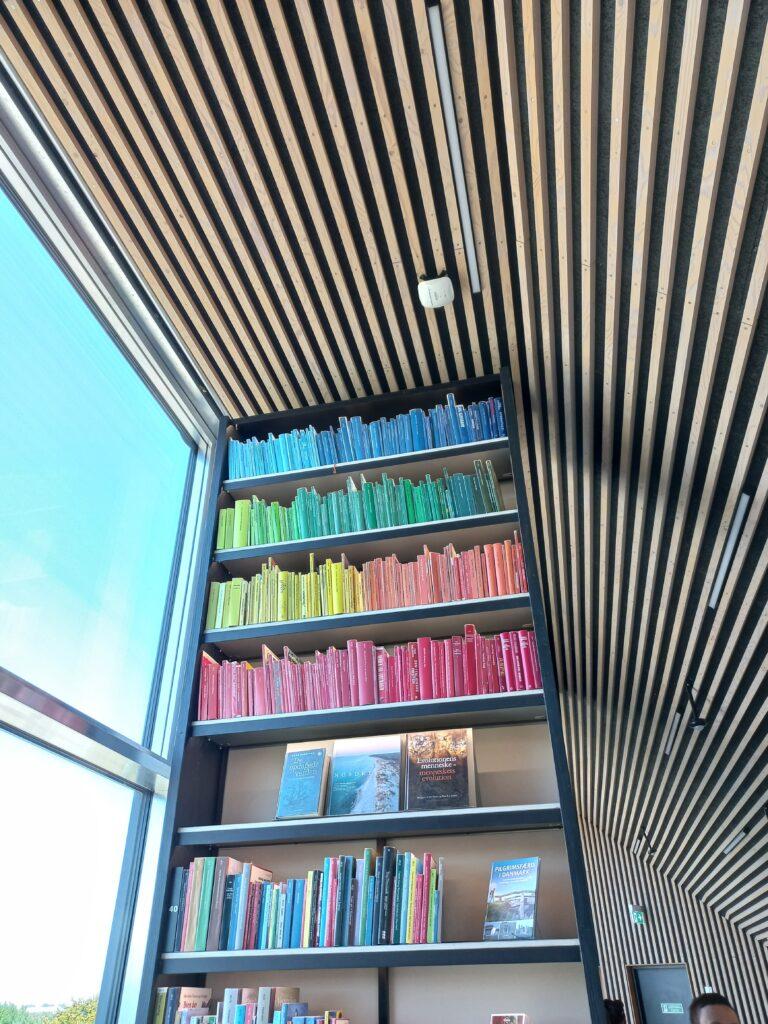 Kirjahyllyssä kirjoja värin mukaan järjestettynä.