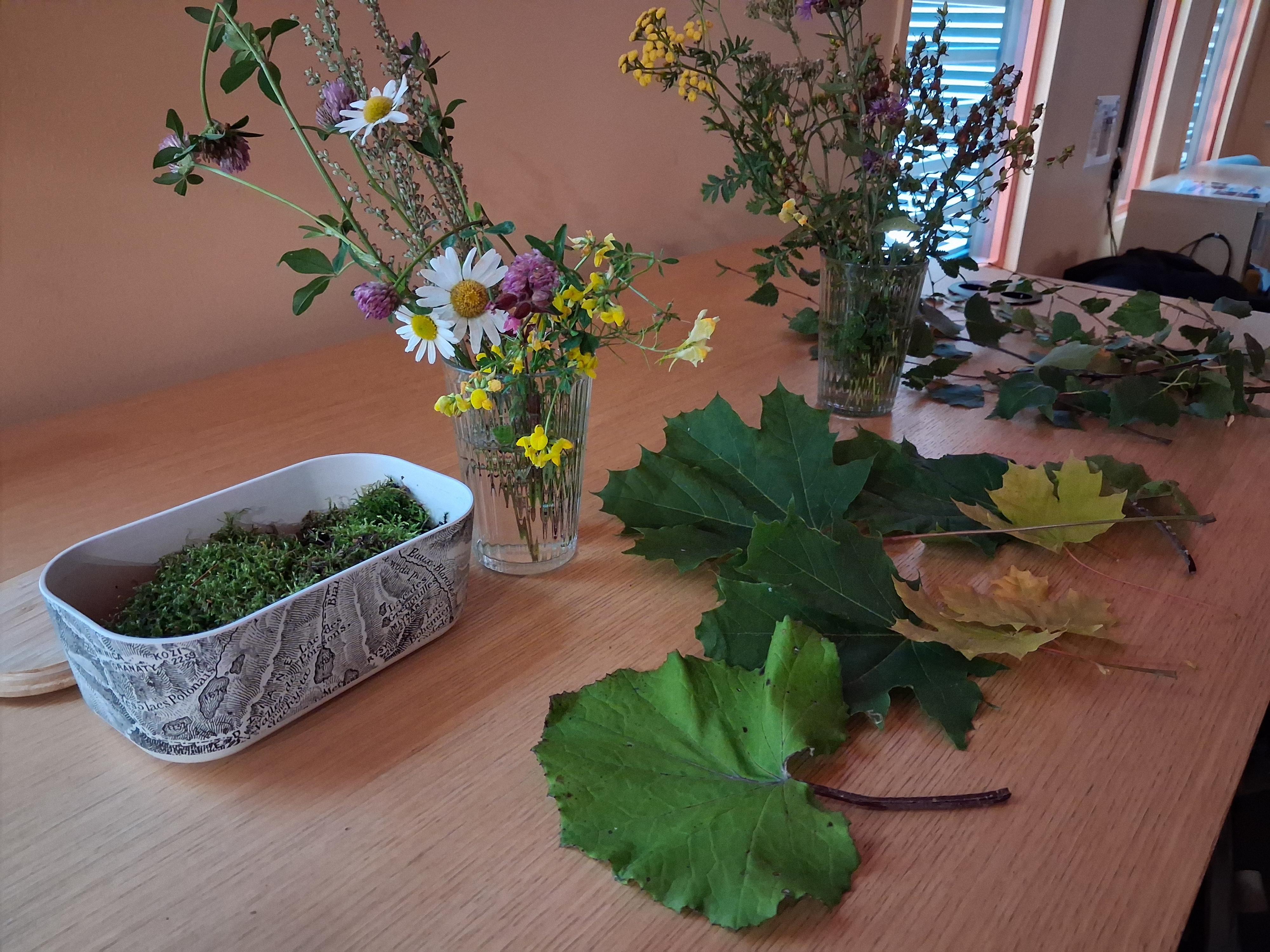 Kasveja, kukkia, sammalta, puiden lehtiä.