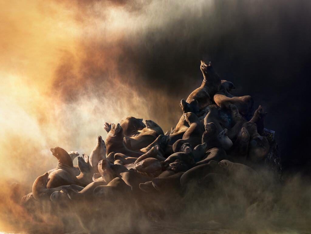 Simen Johan: Until the Kingdom Comes