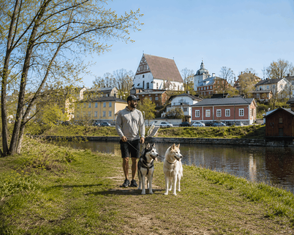Huskies along Porvoo river