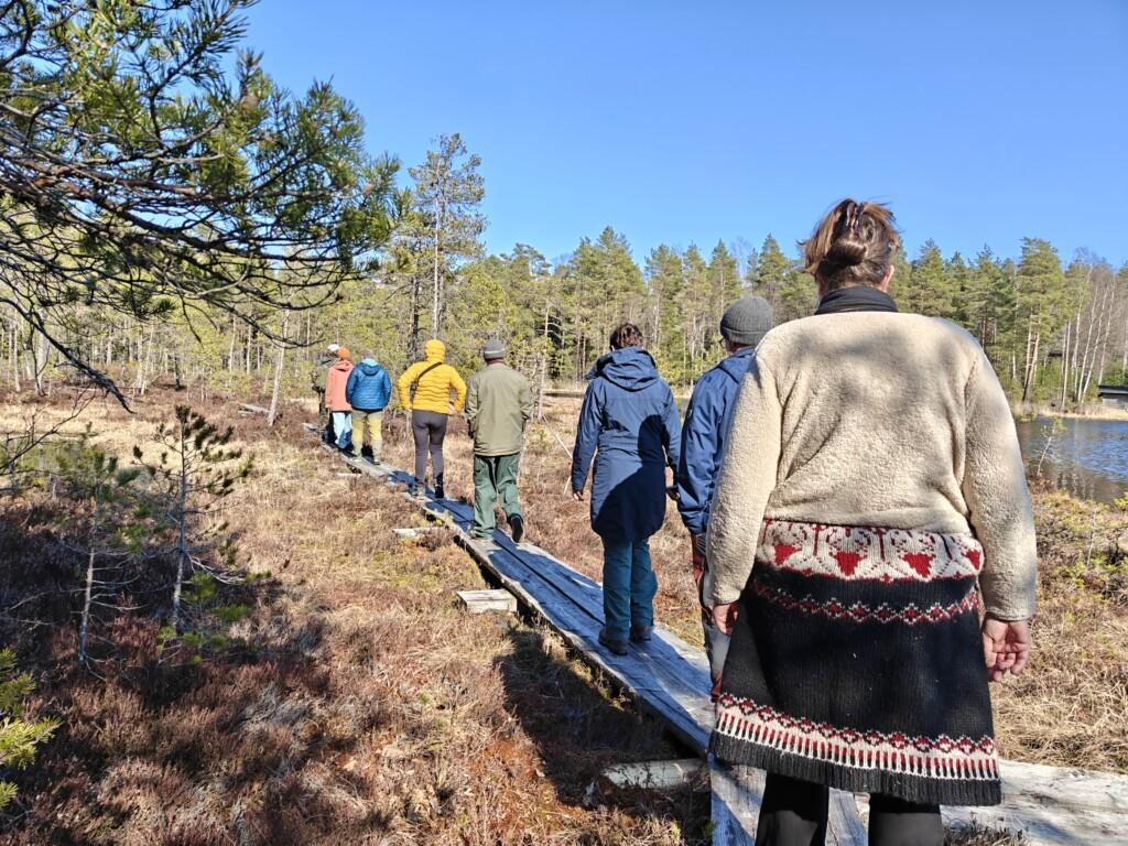 En grupp människor promenerar längs gångplankor i naturen.