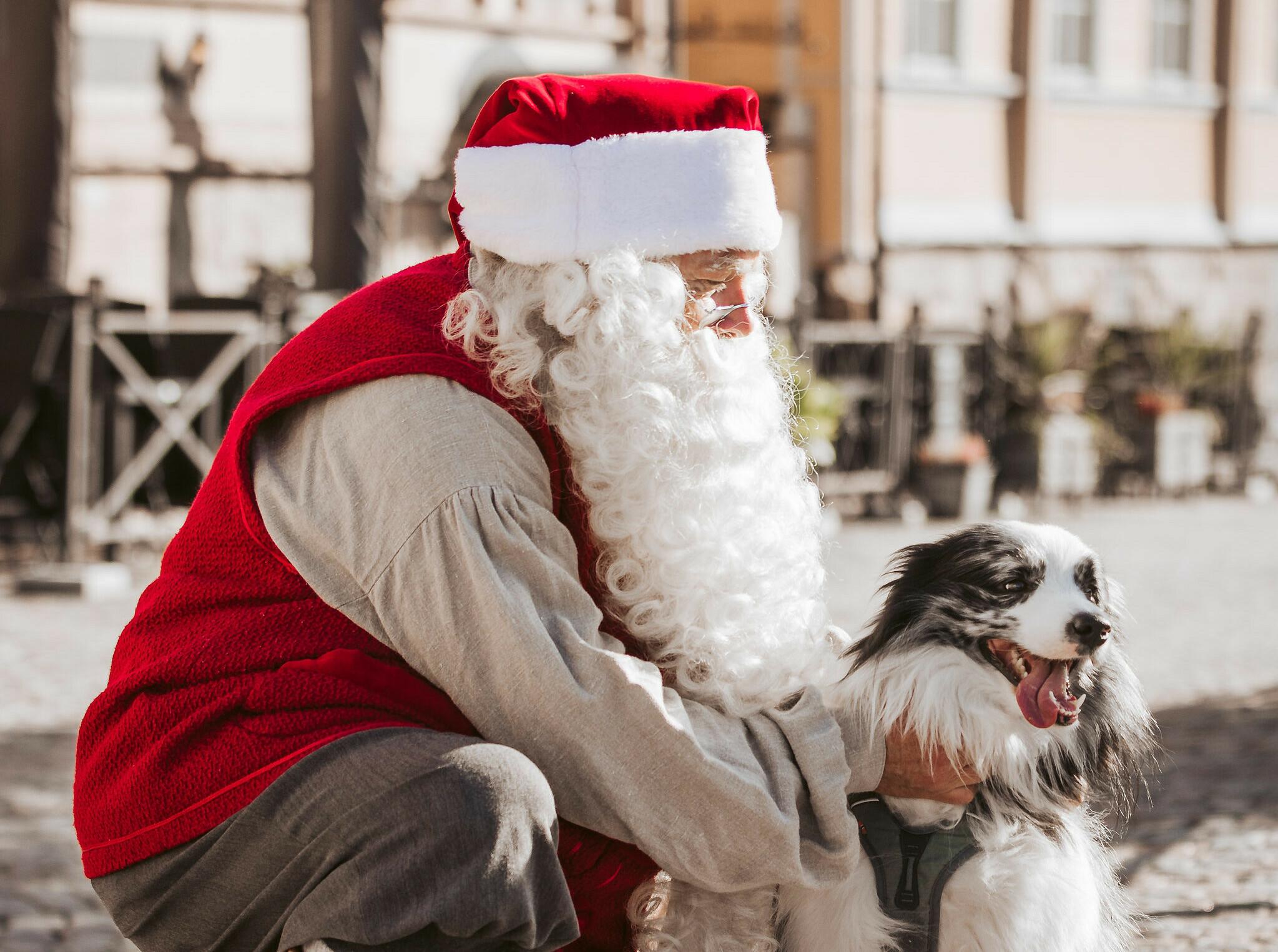 Santa and a dog on the street of Porvoo Old town