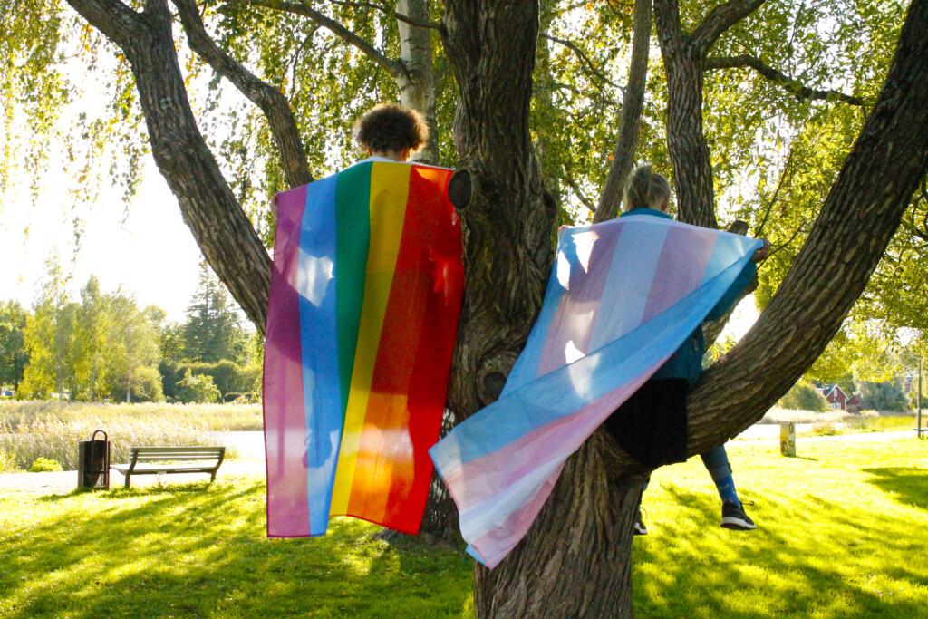 Rainbowflags in park